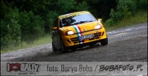 I Love Rally 2010